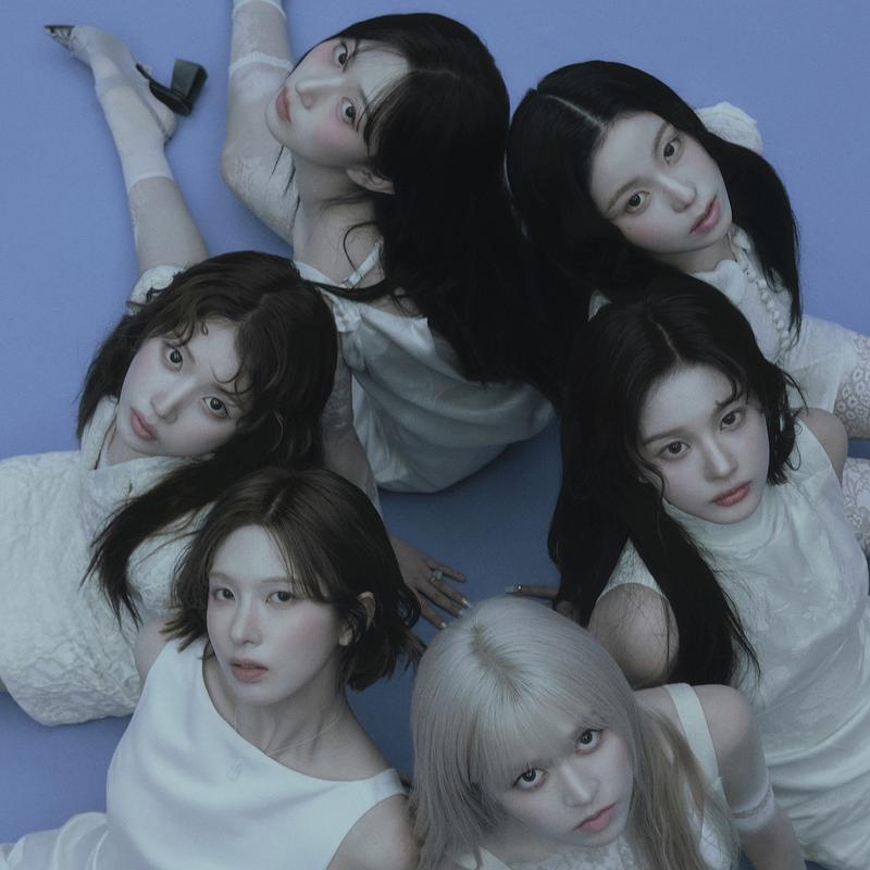 FANS - Bringing fans and artists together