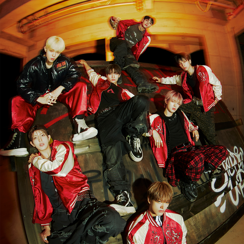 FANS - Bringing fans and artists together