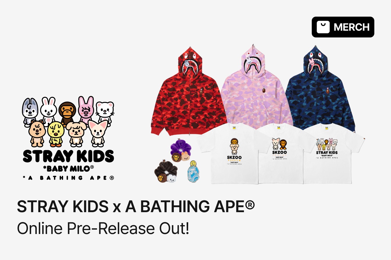 Stray Kids - FANS SHOP