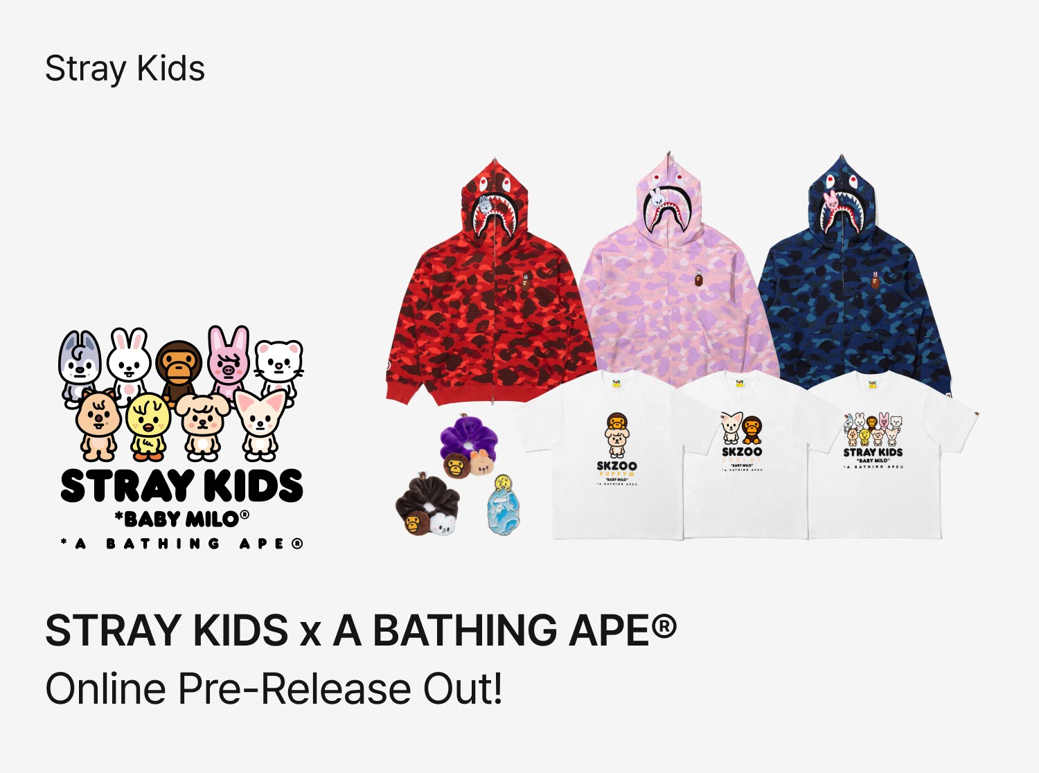 Stray Kids - FANS SHOP