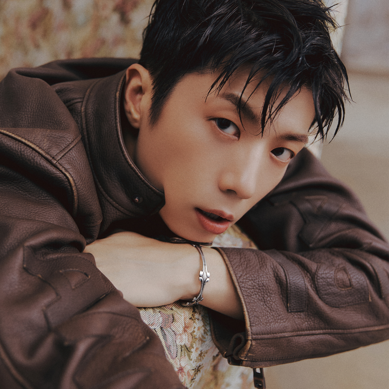 期間限定値下げ！スキズ　ハン　まとめ売り Stray Kids スキズ ハン まとめ売り 期間限定値下げ！スキズ ハン