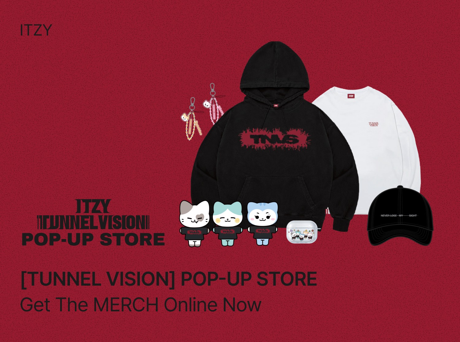 Stray Kids - FANS SHOP